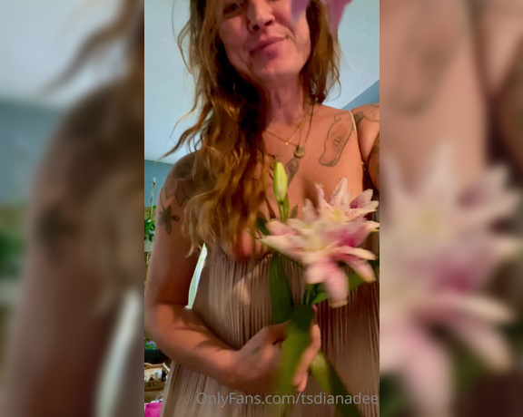 Tsdianadeelight aka tsdianadee - 07-18-2022 OnlyFans Video - Some Flirty Nipple play with a star gazer lily