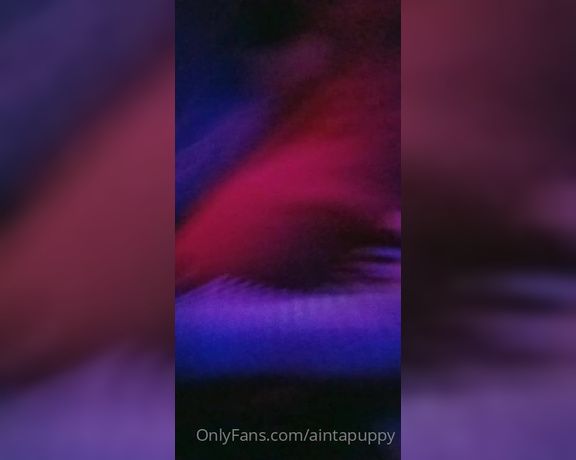 Luna Laika aka aintapuppy - 04-28-2022 OnlyFans Video - throwback Thursday babey_7qxy