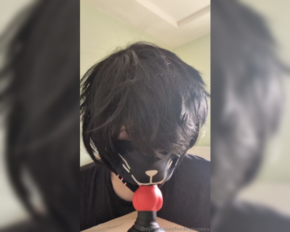 Femboypuppyy aka femboypuppyy - 03-03-2024 OnlyFans Video - Im practicing my blowjob skills on my knotted dildo 3 Should I do more oral videos