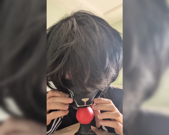 Femboypuppyy aka femboypuppyy - 03-03-2024 OnlyFans Video - Im practicing my blowjob skills on my knotted dildo 3 Should I do more oral videos