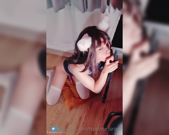 Princess Rosé aka tsprincessrose - 08-11-2021 OnlyFans Video - being a good pet