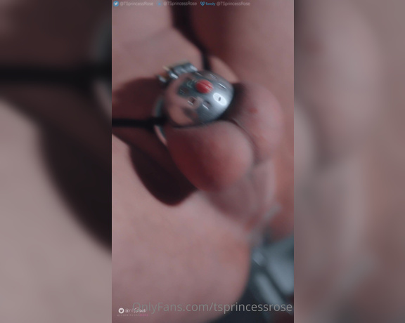 Princess Rosé aka tsprincessrose - 05-31-2023 OnlyFans Video - I locked myself in the chastity and anal my brain out until i get dry orgasm