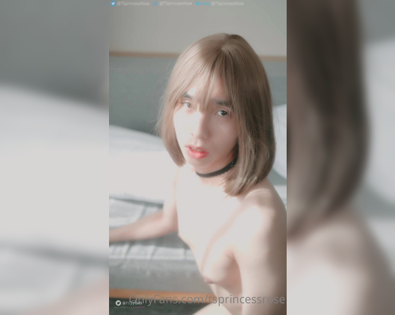 Princess Rosé aka tsprincessrose - 06-26-2023 OnlyFans Video - Deep inside my heart, I just wanna be a submissive little pet to make Daddy happy