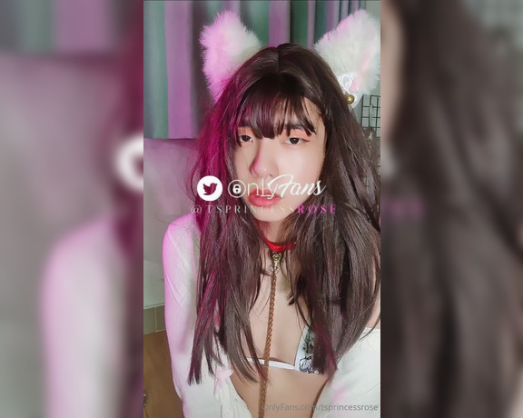 Princess Rosé aka tsprincessrose - 11-27-2023 OnlyFans Video - Best thing i can do_yb3i